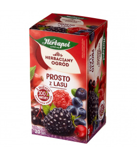 Herbapol Herbaciany Ogród Herbatka owocowo-ziołowa prosto z lasu 50 g (20 x 2,5 g)