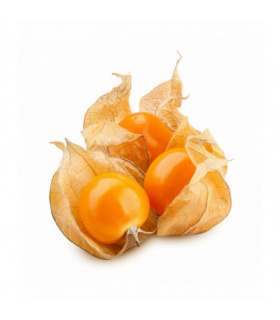 Physalis szt.