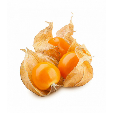 Physalis szt.