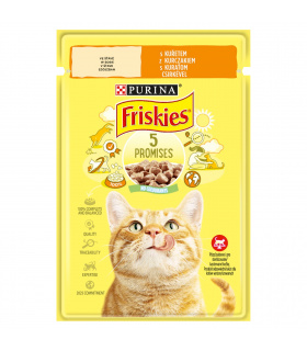 Friskies Karma dla kotów w sosie z kurczakiem 85 g